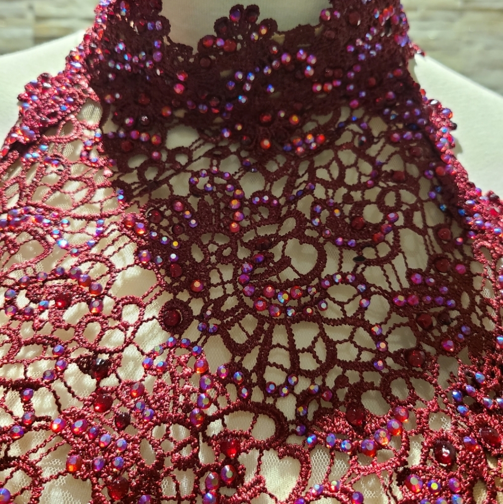 Alyce Paris Prom Wine Dress. - Picture 5 of 16